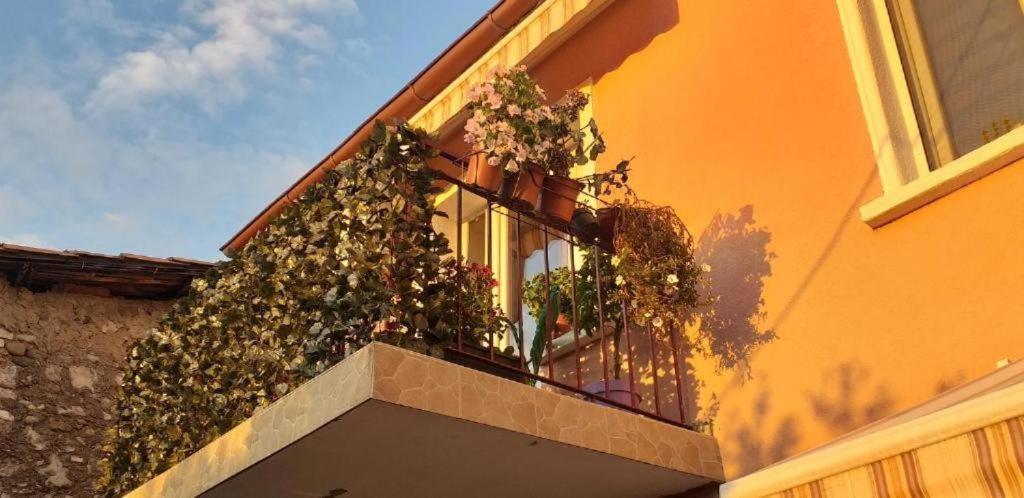 Grand Park Rooms Podgorica Bagian luar foto